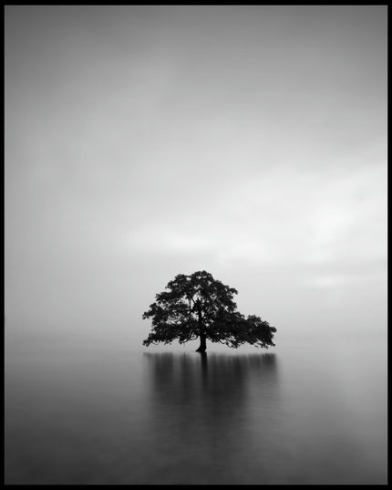 Ein Leinwandbild von einem einsamen Baum, der in einem ruhigen See steht.