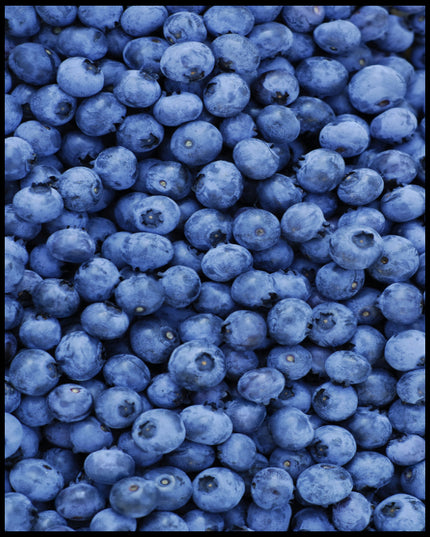 Ein Leinwandbild von einer Fülle von frischen Blaubeeren, die das gesamte Bild bedecken.