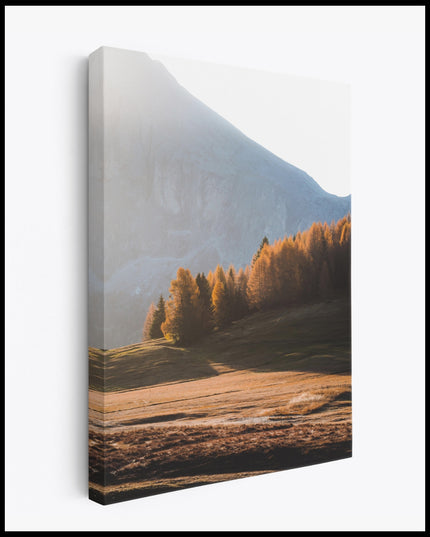 Dolomites Forest Canvas