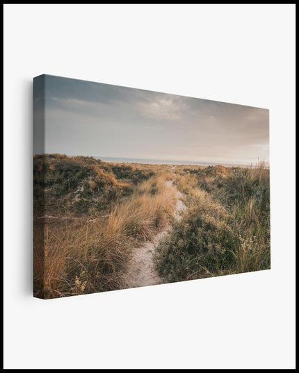 Dune Beach Path Canvas