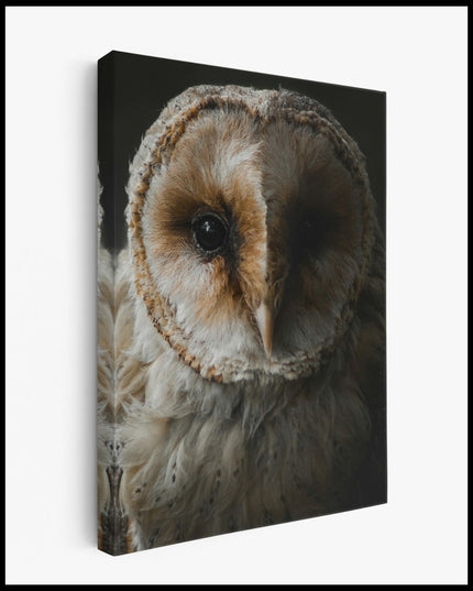 Owl Portrait Canvas