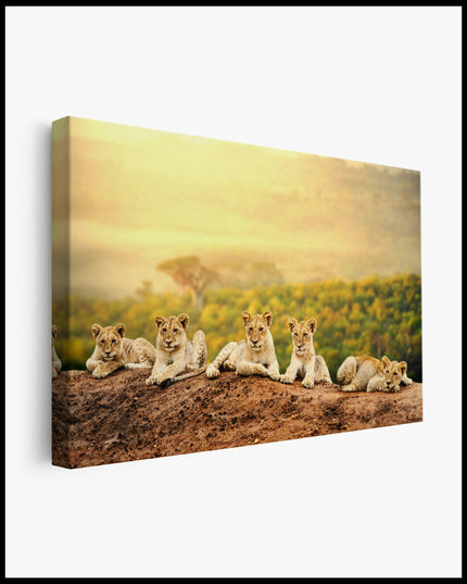 Young Lions Canvas