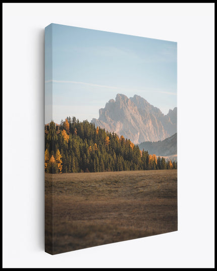 Dolomites Forest View Canvas