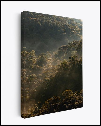 Sunrise over the Forest Canvas