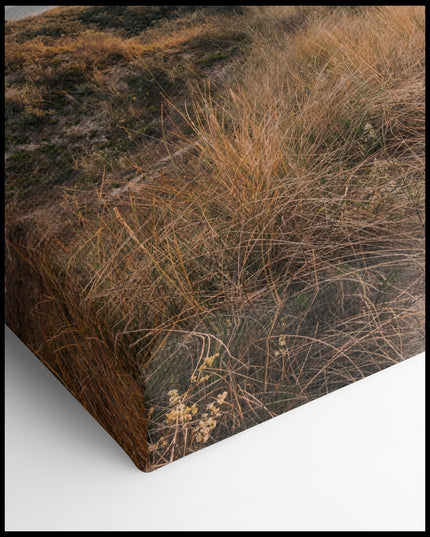 Dune Beach Path Canvas