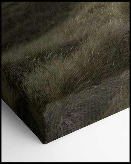 Beach Grass Dunes Canvas