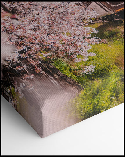 Japanese Train Cherry Blossom Canvas