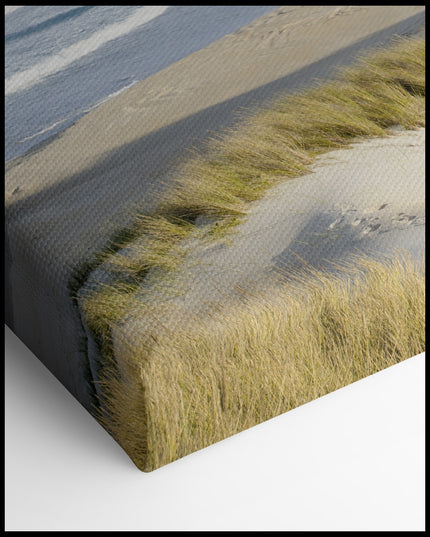 Beach View Dunes Canvas