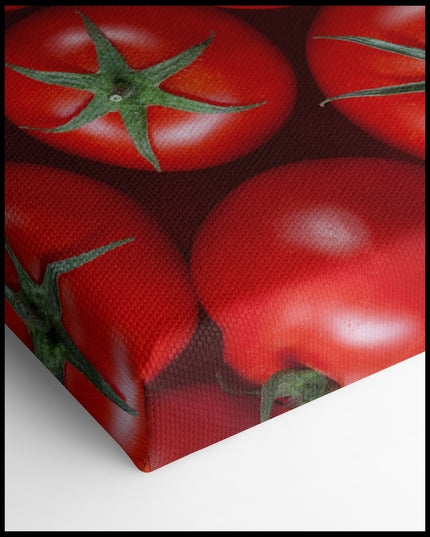 Tomatoes Canvas