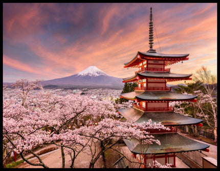 Ein Poster von der Chureito-Pagode vor dem Fuji-Berg bei Sonnenuntergang, umgeben von Kirschblüten.