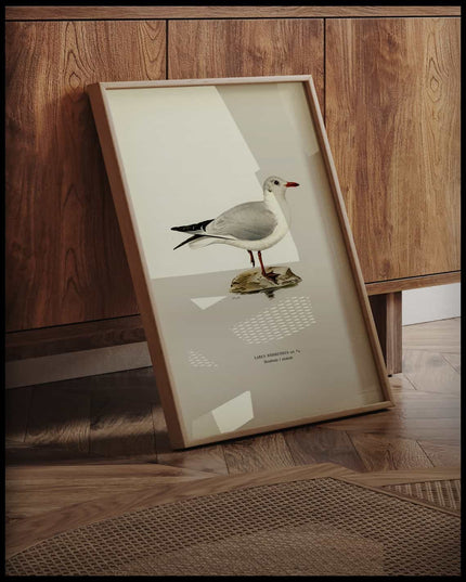 Larus Ridibundus Poster