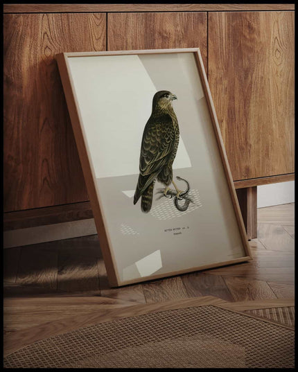 Buteo Buteo Poster