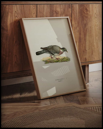 Columba Palumbus Poster