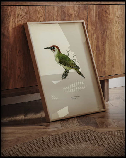 Picus Viridis Poster