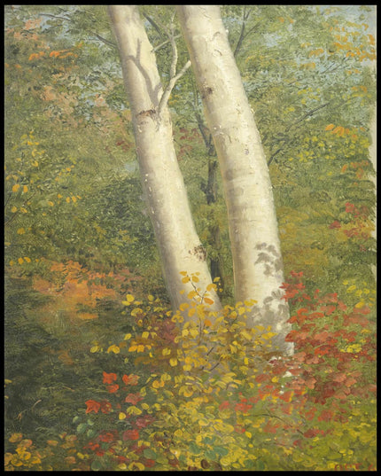 Birch Trees in Autumn