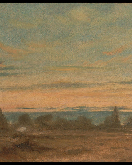 Summer Evening Landscape