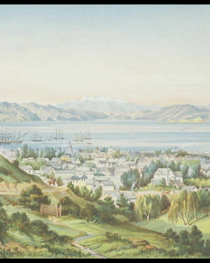 Wellington Harbour