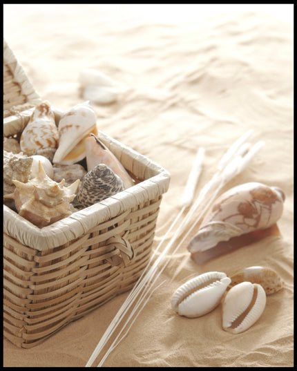 Ein Poster von einem geflochtenen Korb voller Muscheln am Strand.