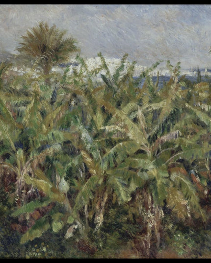 Field of Banana Trees