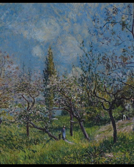 Orchard In Spring