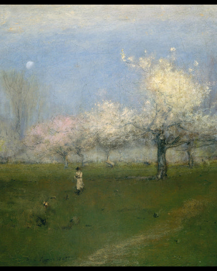 Spring Blossoms