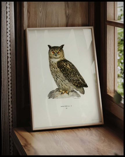 Bubo Bubo Poster