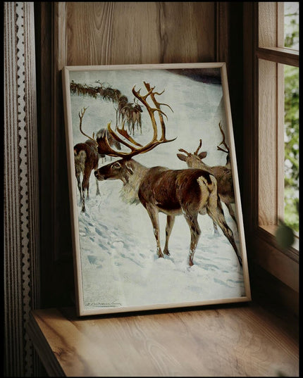 Scandinavian Reindeer