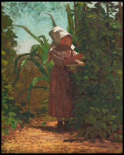 The Bean Picker